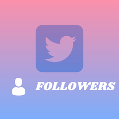 Followers Twitter ( X )